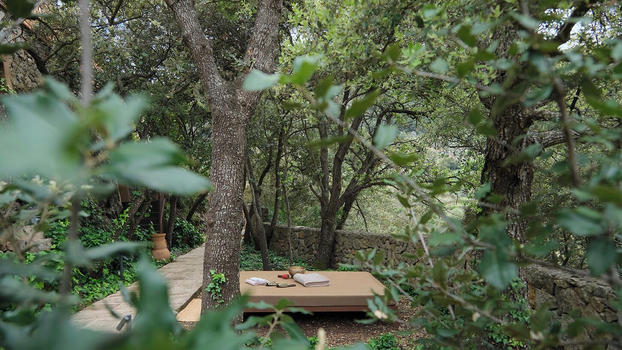 Photo of Bedroom in Valldemossa