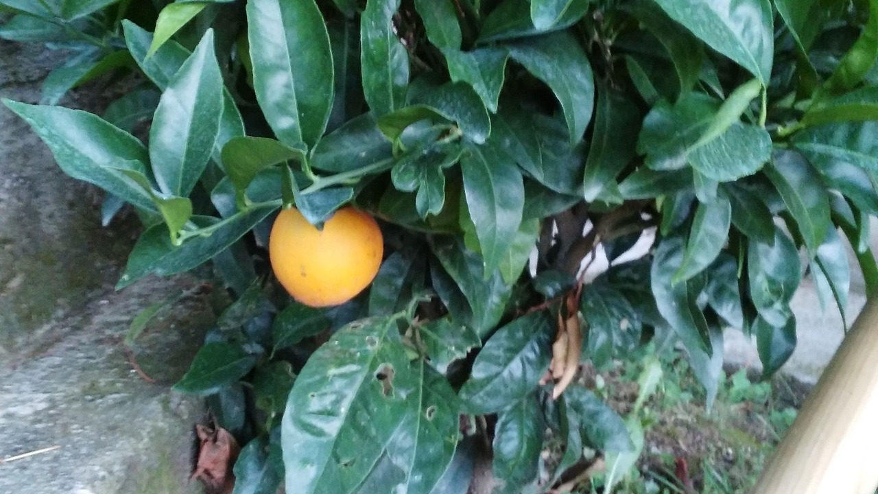 Photo of Outdoor in Cangas del Narcea Municipality