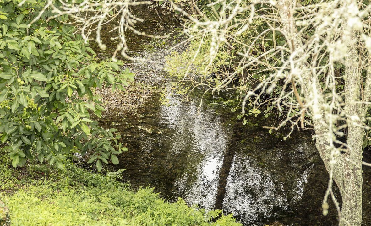Photo of Others in Couzadoiro