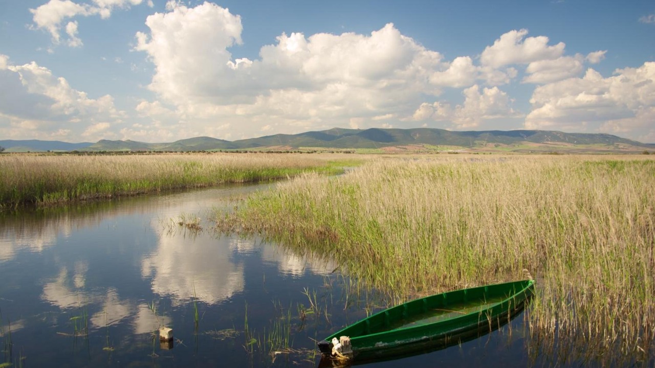 Photo of Outdoor in Miguelturra