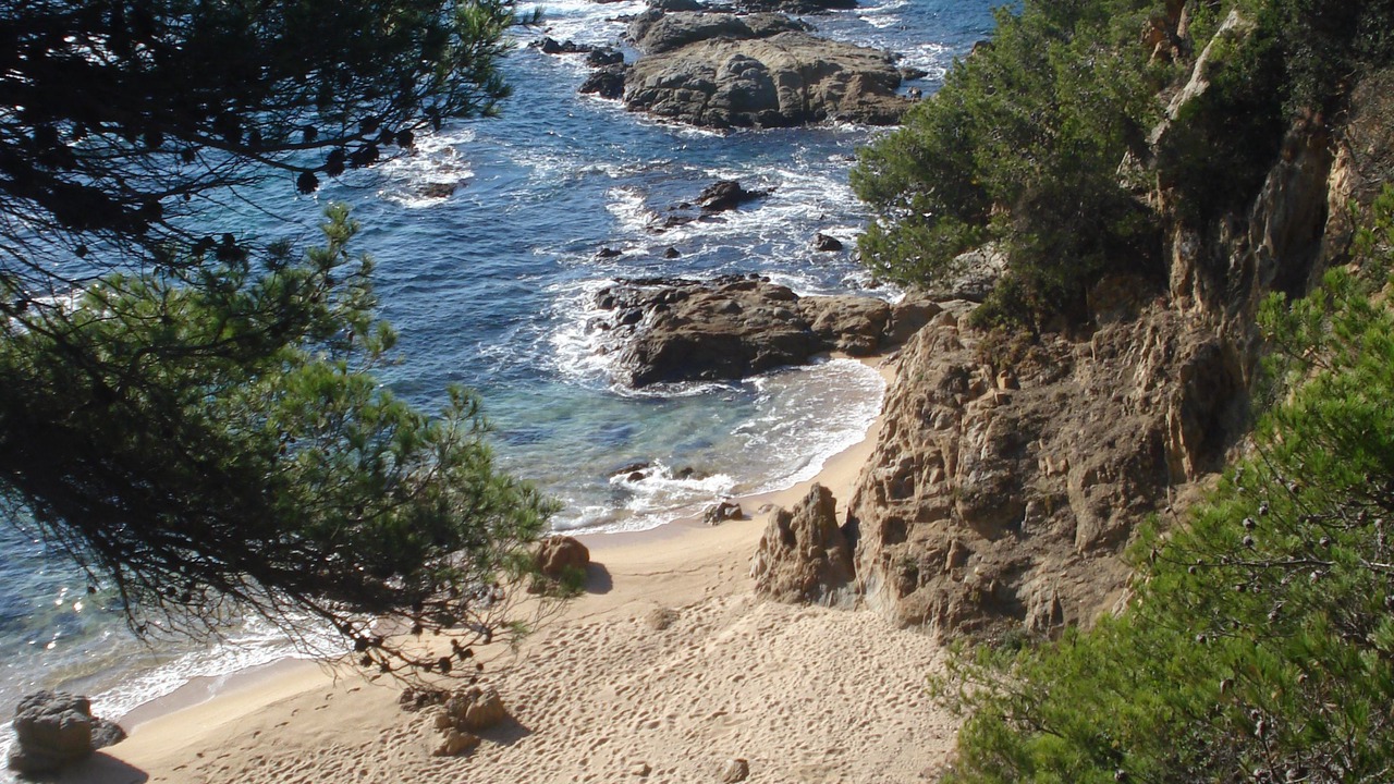 Photo of Others in Lloret Town Center