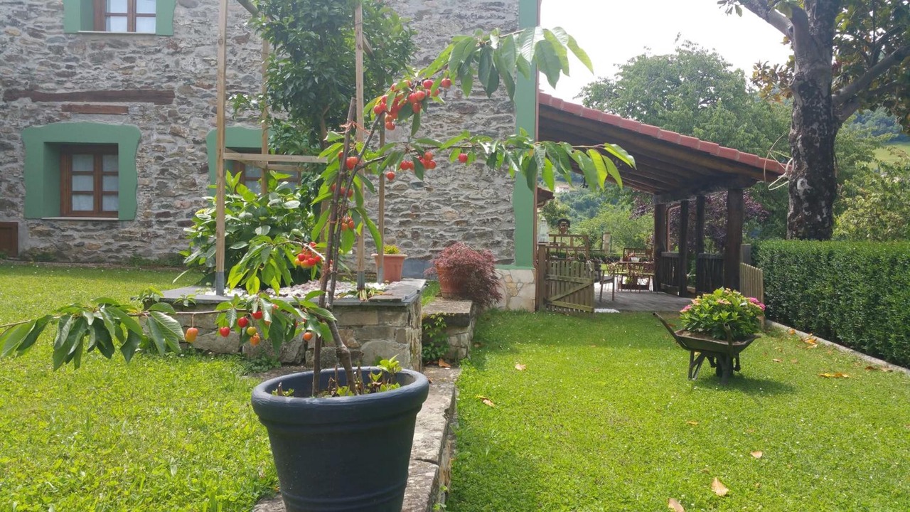 Photo of Outdoor in Limes
