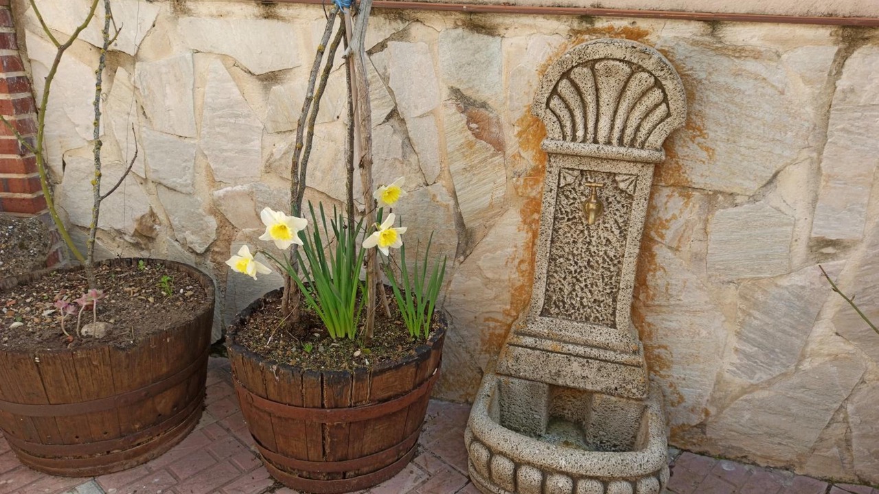 Photo of Others in Pradanos de Ojeda