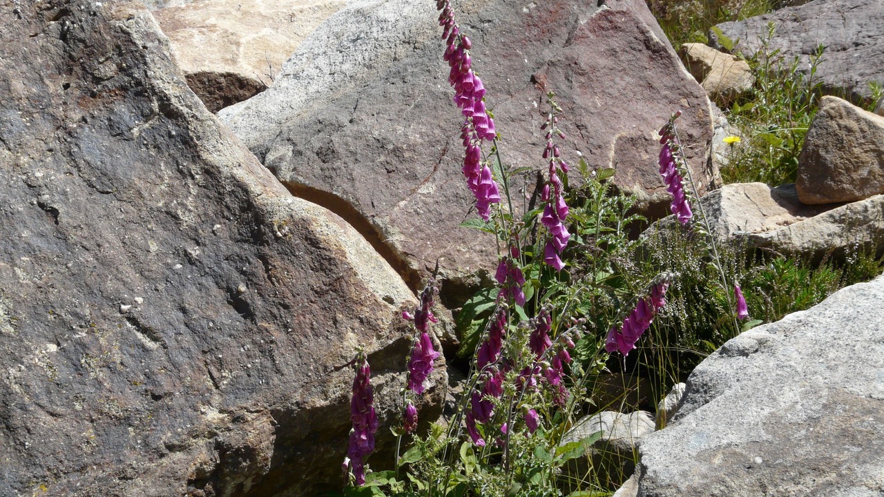 Photo of Outdoor in Quintanar de la Sierra