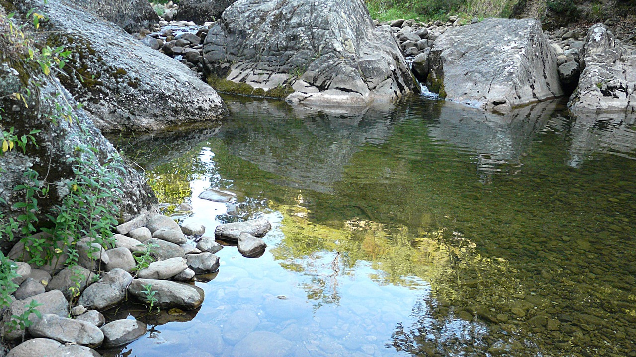 Photo of Others in Quintanar de la Sierra