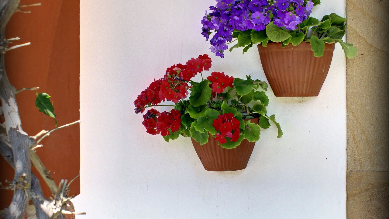 Photo of Outdoor in Colunga