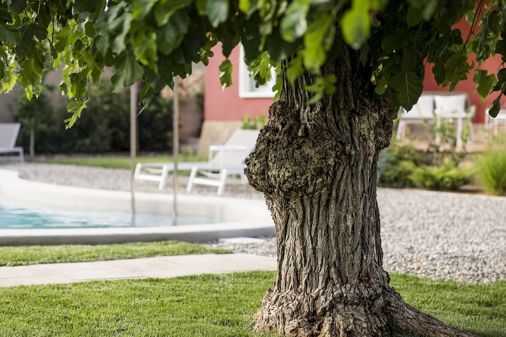 Photo of Outdoor in Preixens