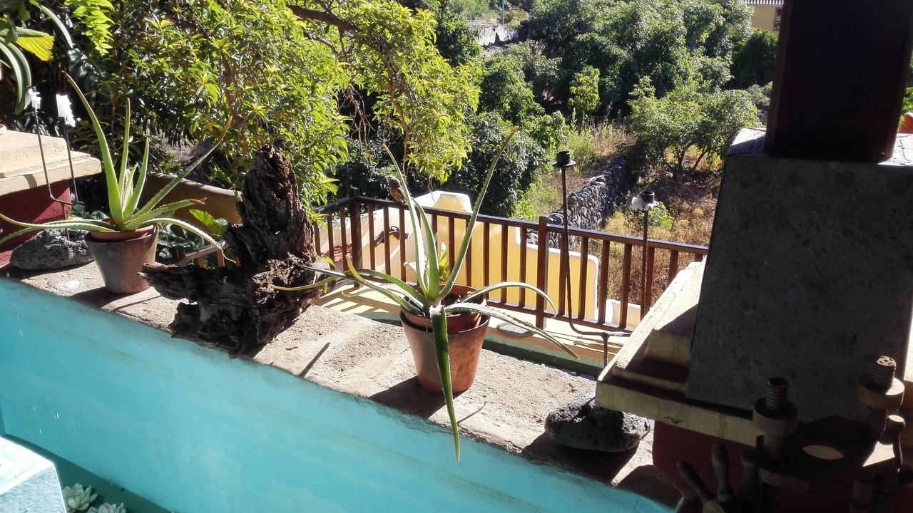 Photo of Outdoor in Guimar