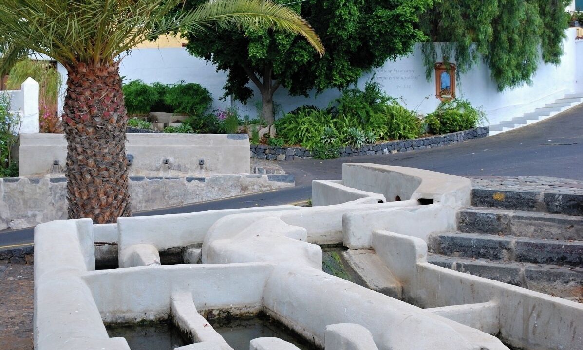 Photo of Others in Guimar