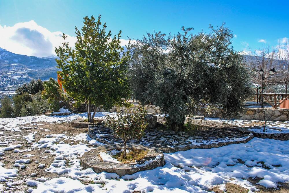 Photo of Outdoor in Torres