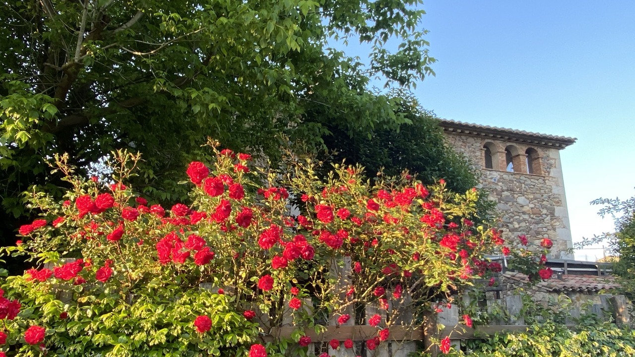 Photo of Outdoor in Bordils