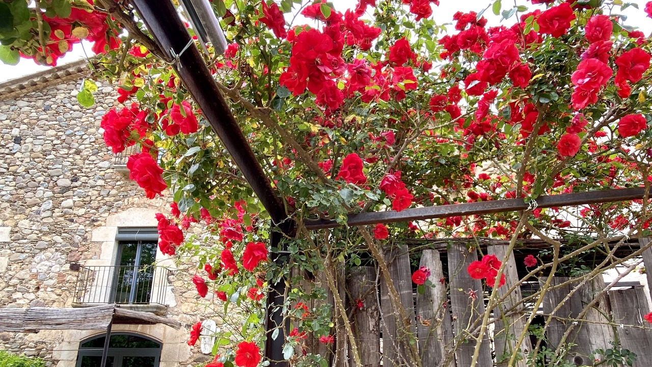 Photo of Outdoor in Bordils