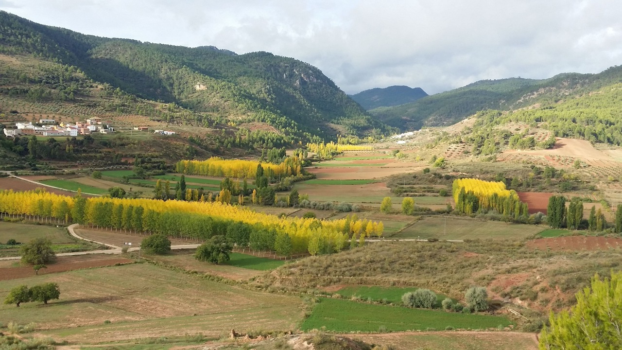 Photo of Others in Bogarra