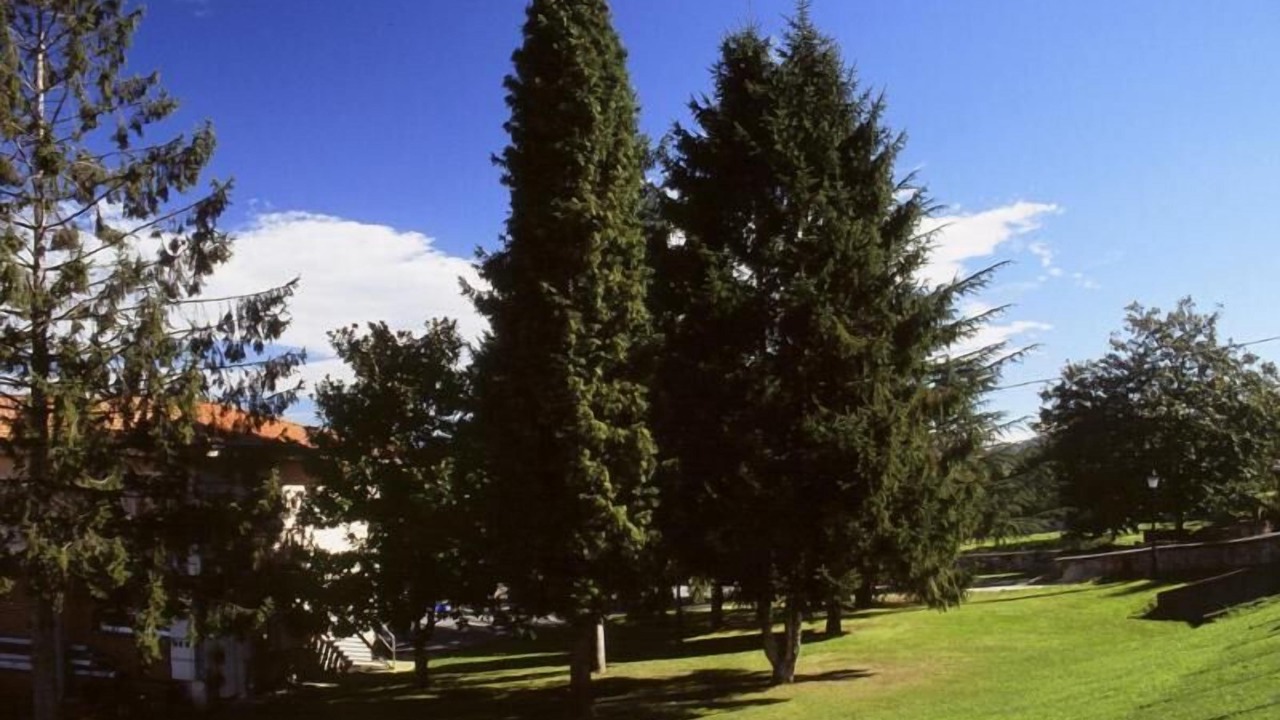 Photo of Outdoor in Nava