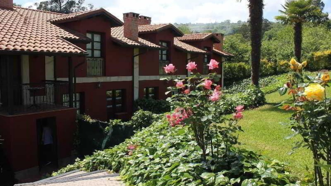 Photo of Outdoor in Villaviciosa