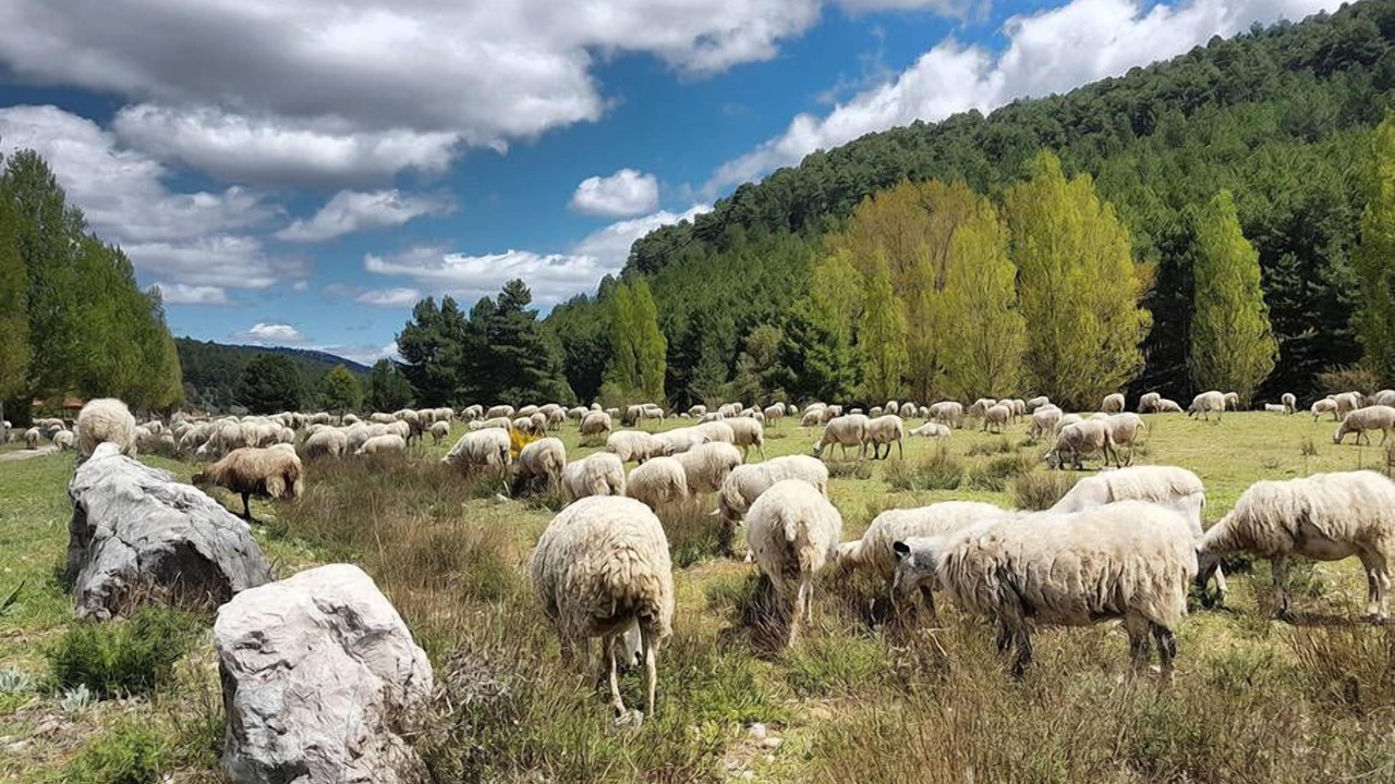 Photo of Outdoor in Herreros
