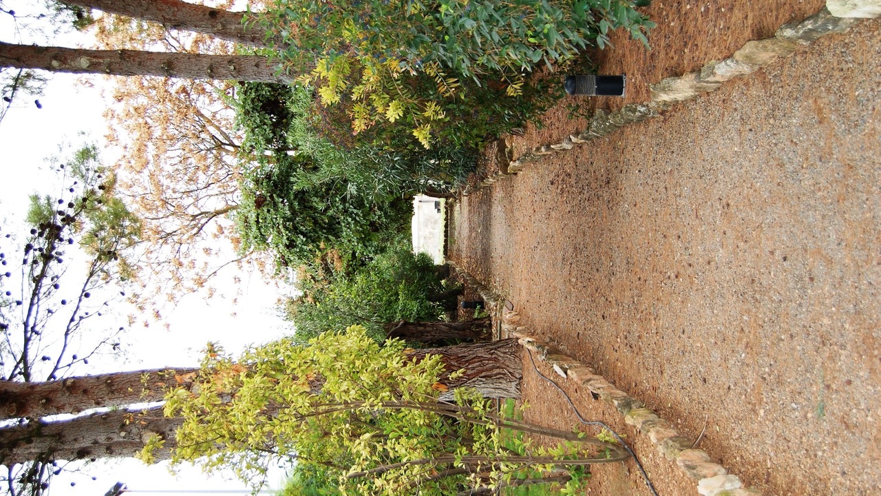 Photo of Outdoor in Daimiel