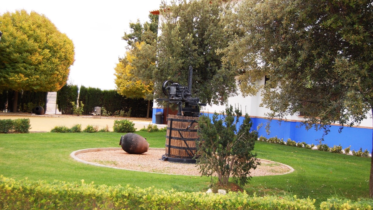 Photo of Outdoor in Daimiel