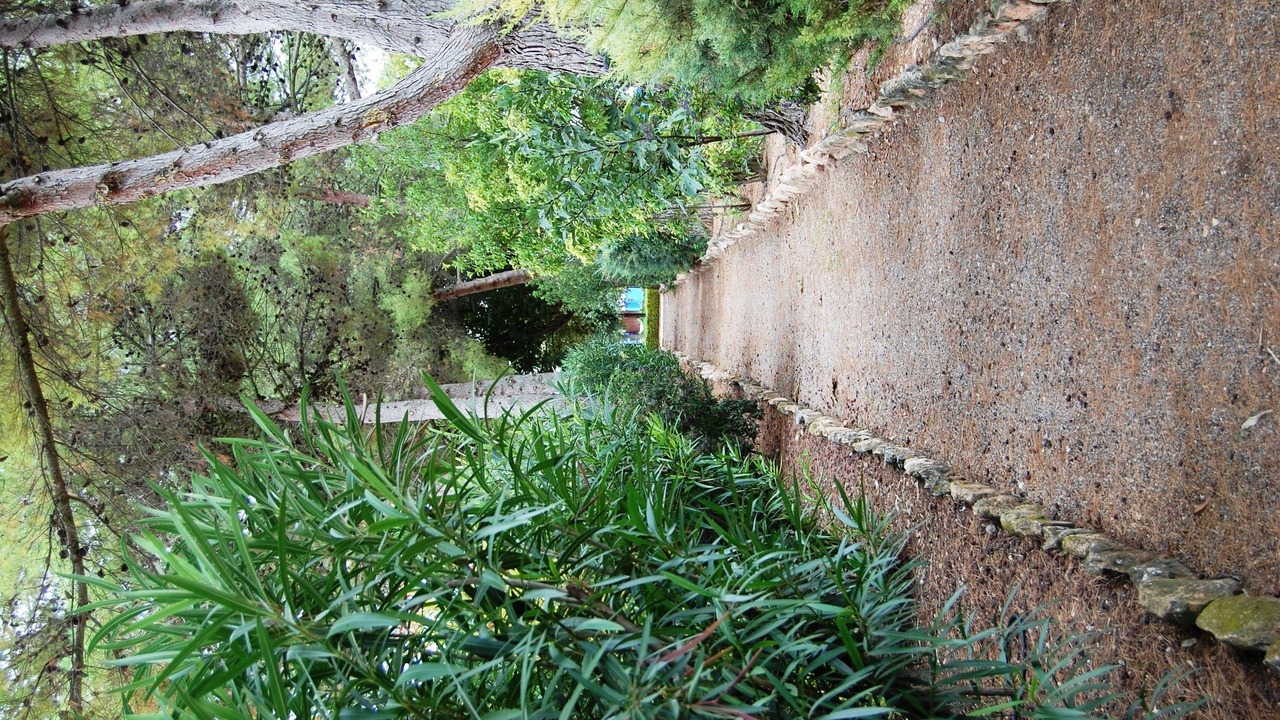 Photo of Outdoor in Daimiel