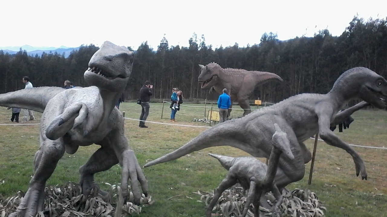 Photo of Others in Obaya