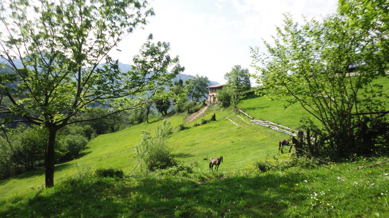 Photo of Outdoor in Caso