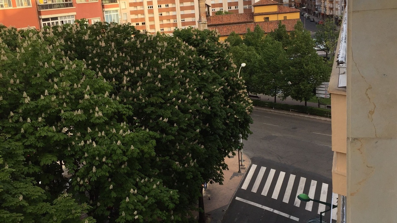 Photo of Outdoor in Leon