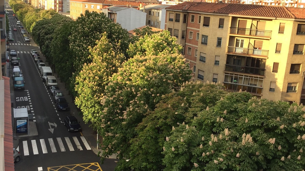 Photo of Outdoor in Leon