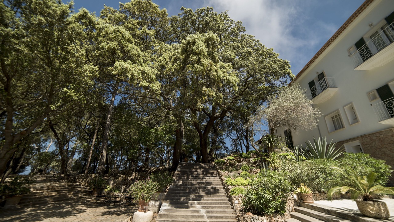 Photo of Outdoor in Valldemossa