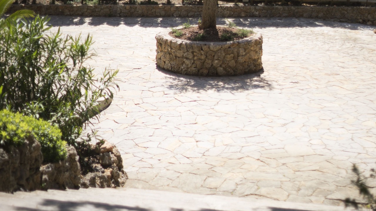 Photo of Outdoor in Valldemossa