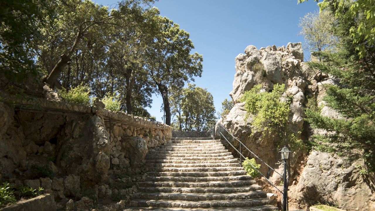 Photo of Outdoor in Valldemossa
