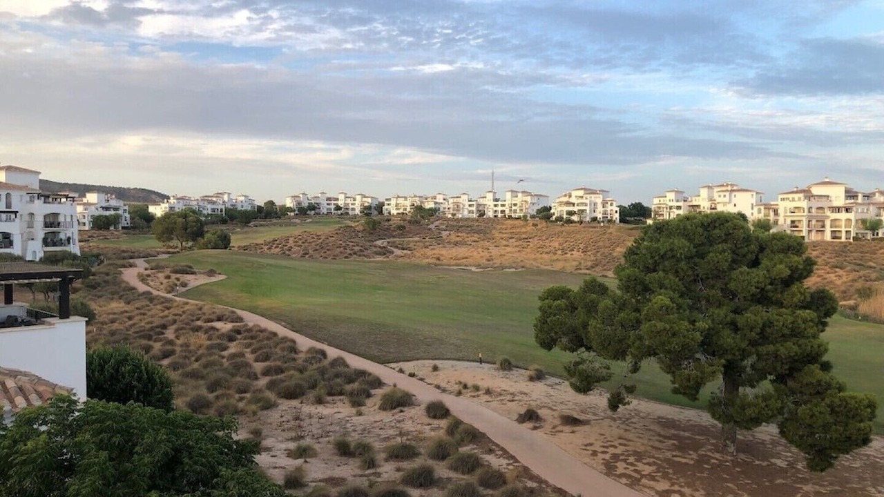 Photo of Outdoor in Murcia