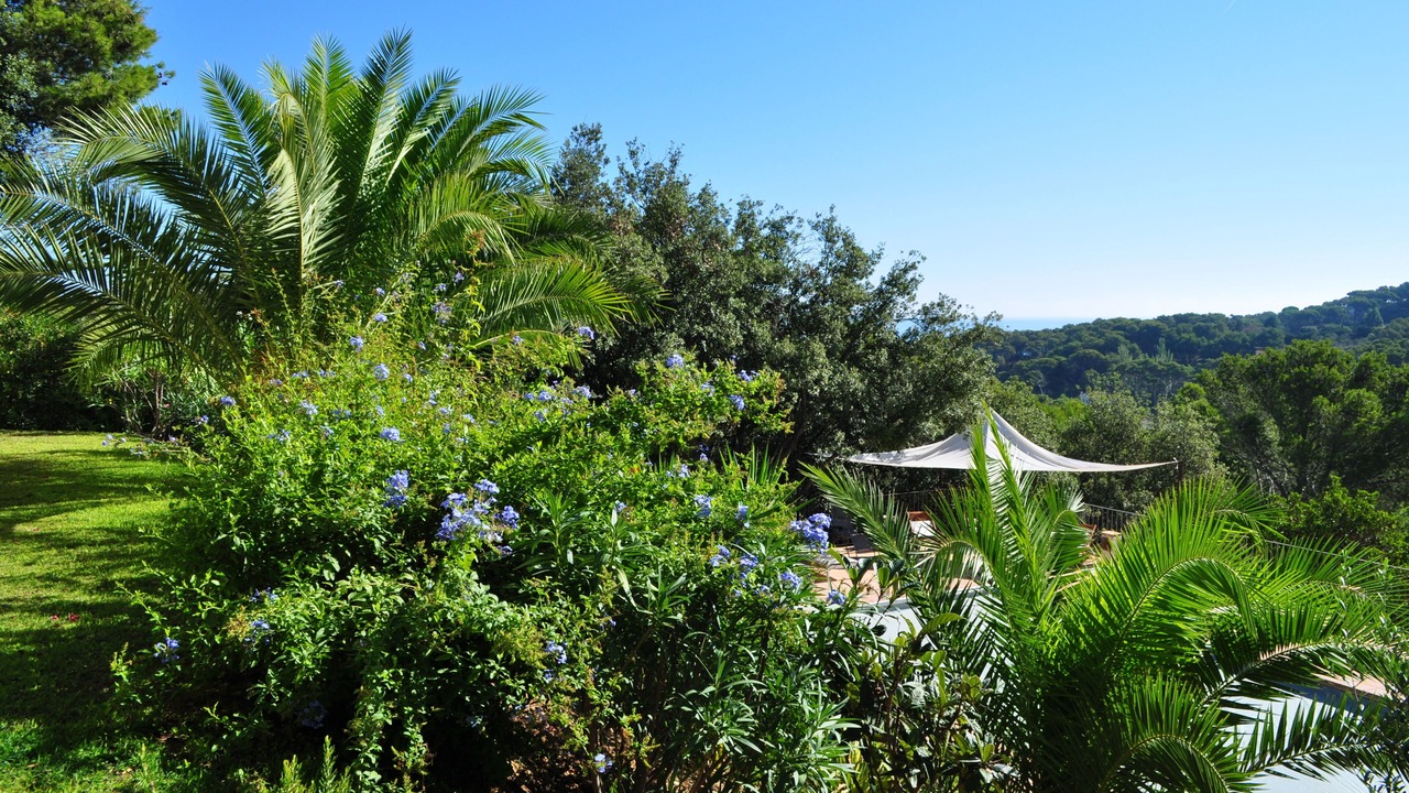 Photo of Outdoor in Sa Riera