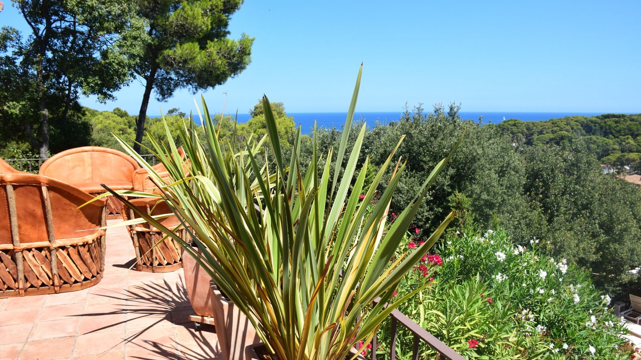 Photo of Patio Balcony in Sa Riera