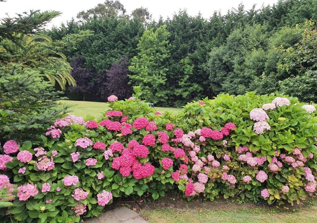 Photo of Outdoor in Loredo