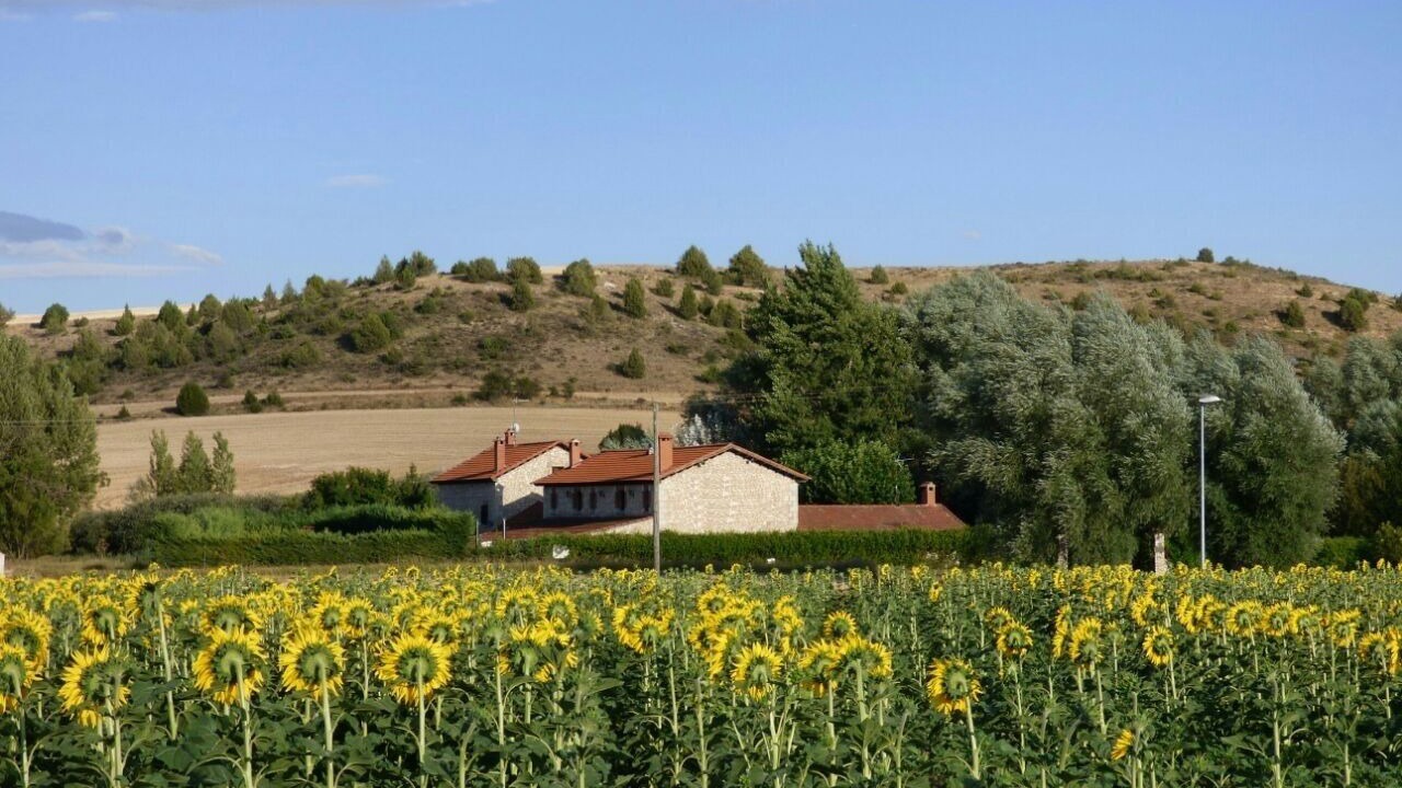 Photo of Outdoor in Banos de Valdearados
