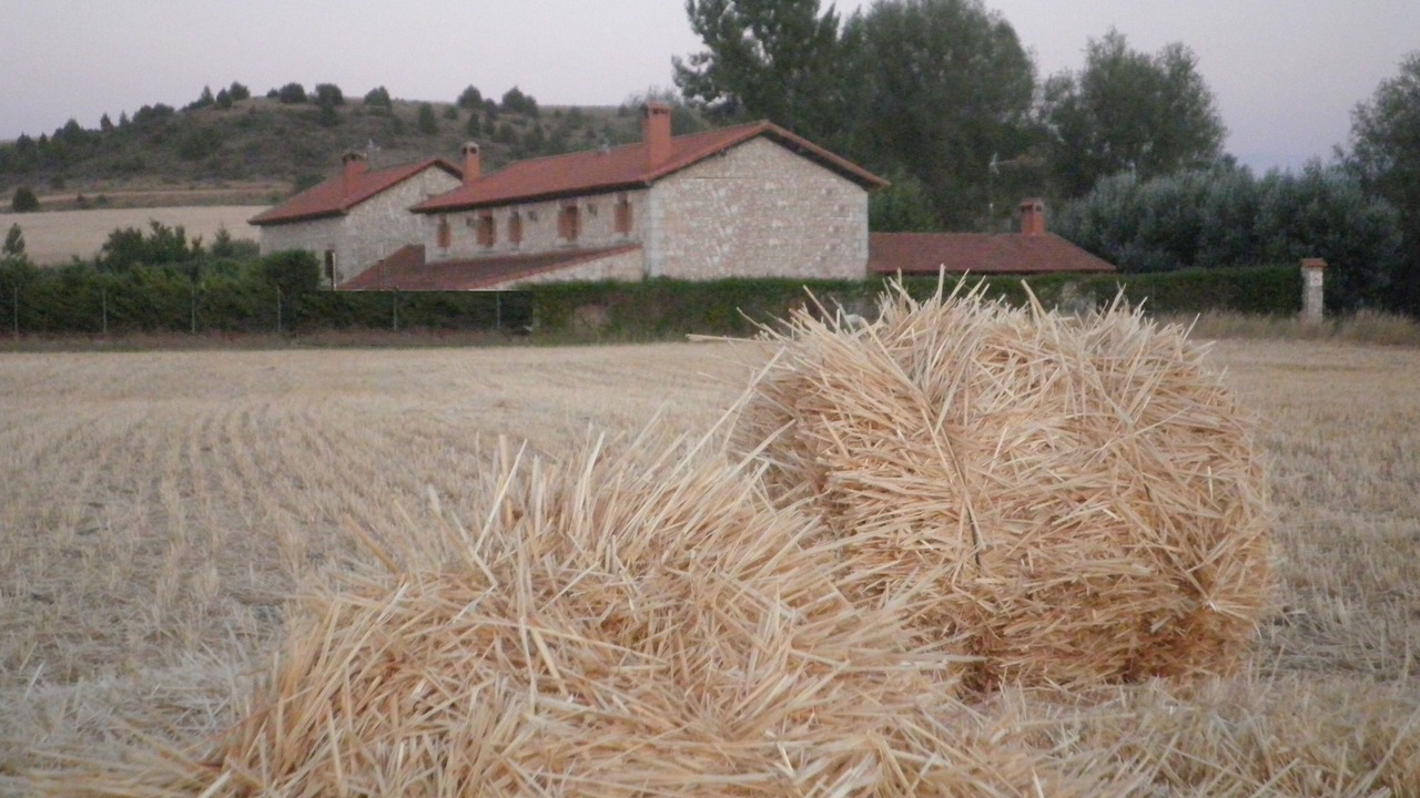 Photo of Others in Banos de Valdearados