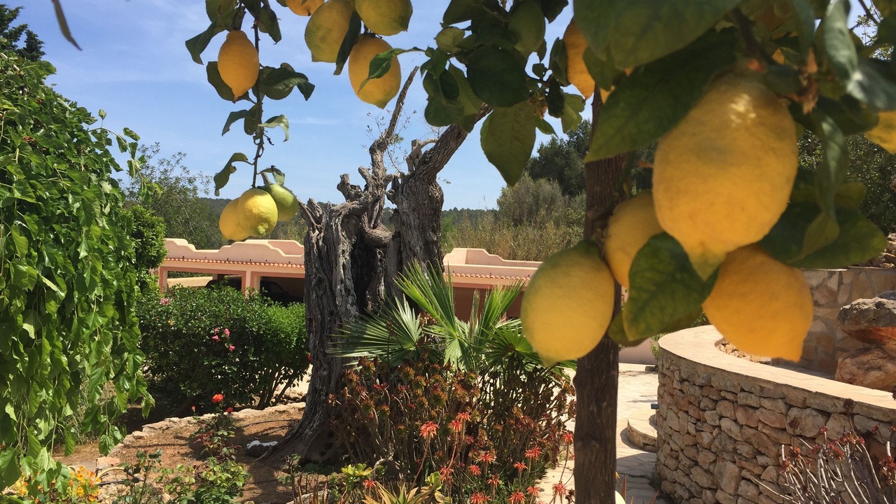 Photo of Outdoor in Sant Rafael de Sa Creu