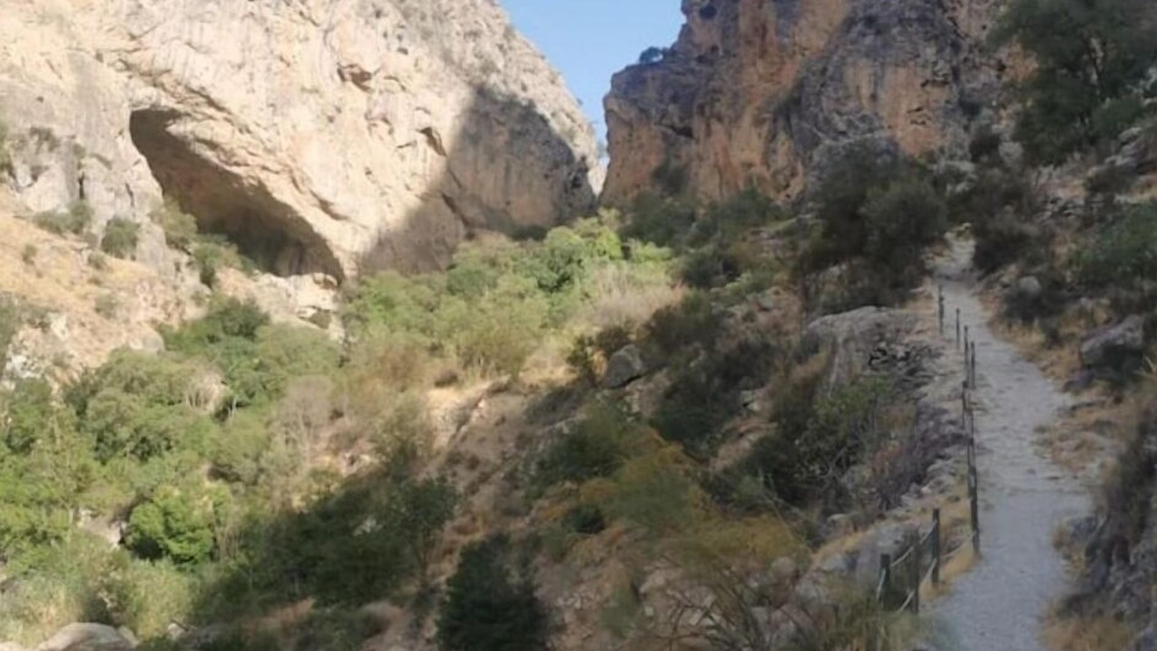 Photo of Others in Tozar