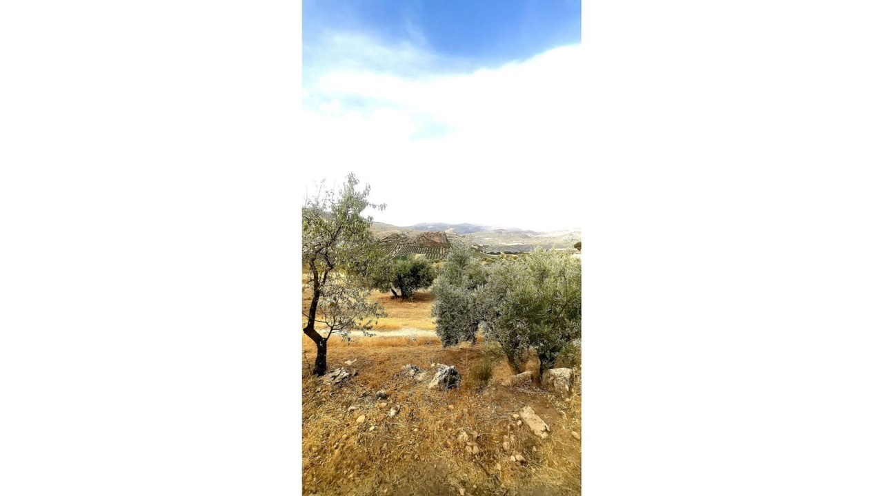 Photo of Others in Tozar