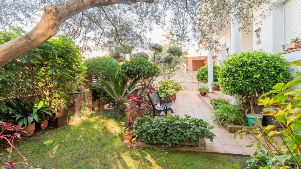 Photo of Outdoor in Pineda de Mar
