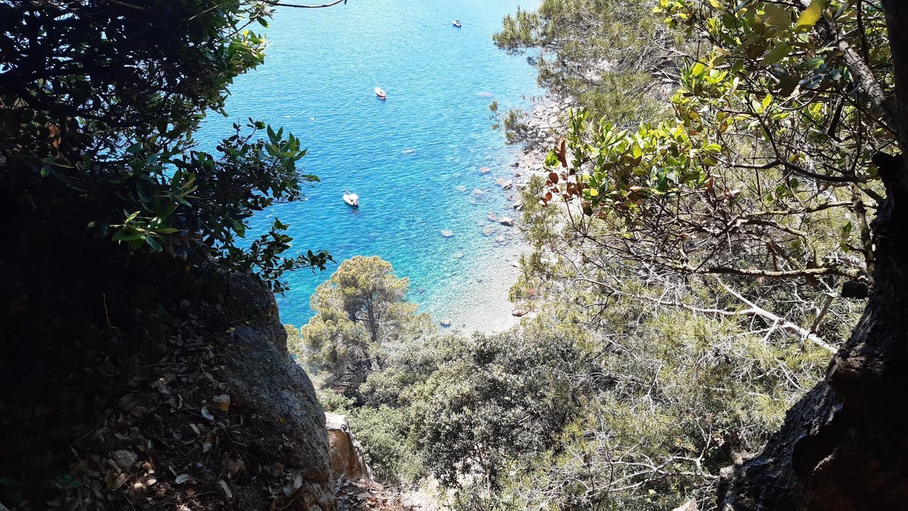 Photo of Others in Sant Feliu de Guixols