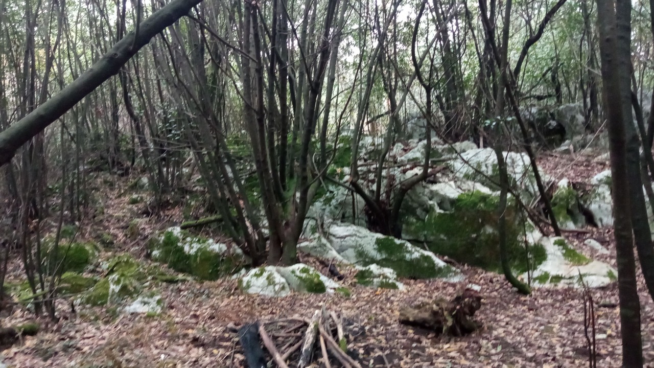 Photo of Outdoor in Ruiloba