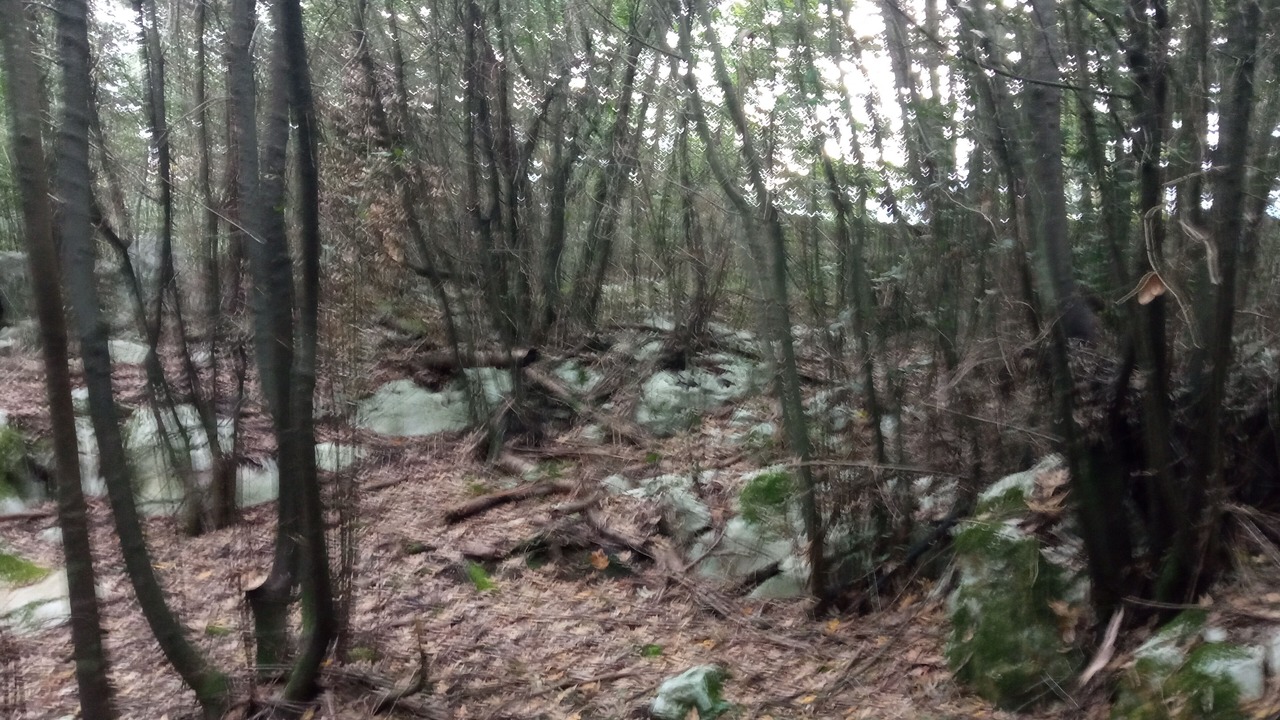 Photo of Outdoor in Ruiloba