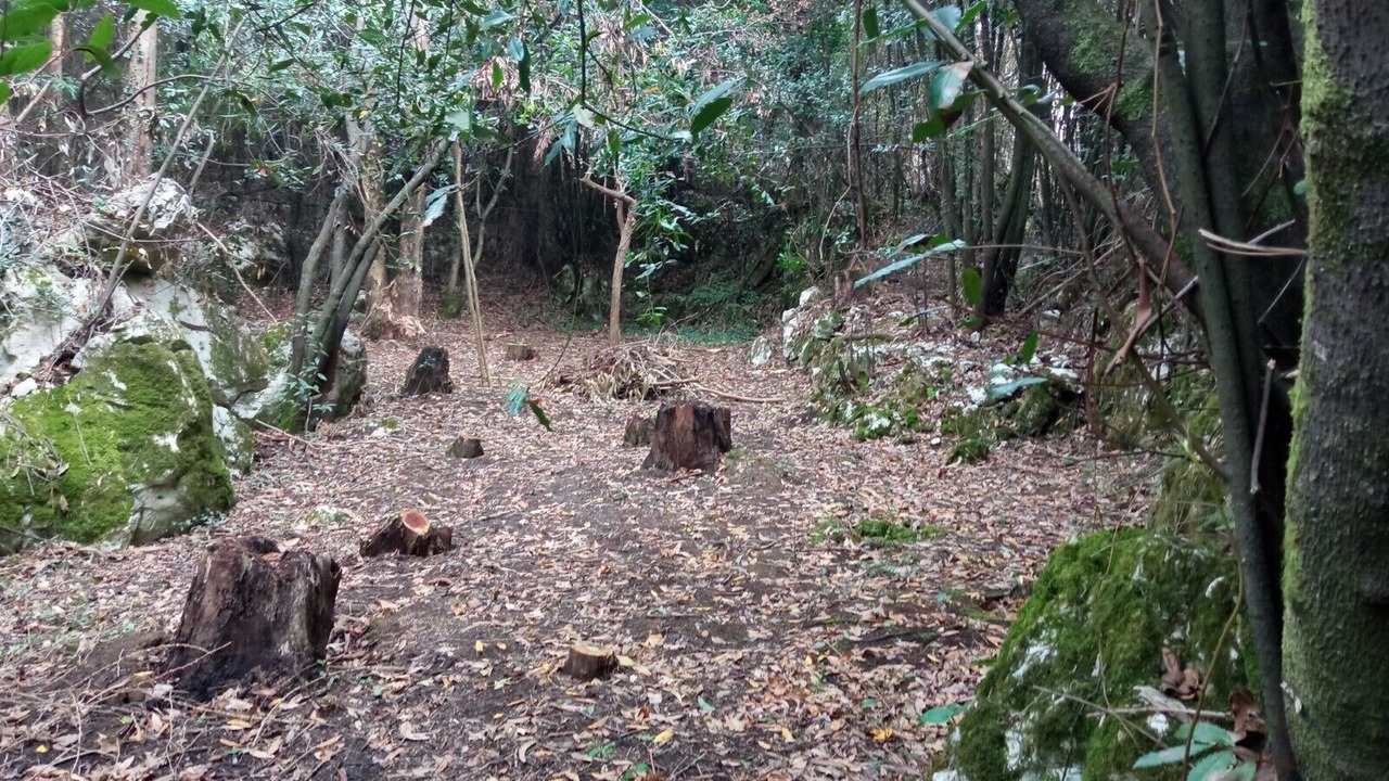 Photo of Others in Ruiloba