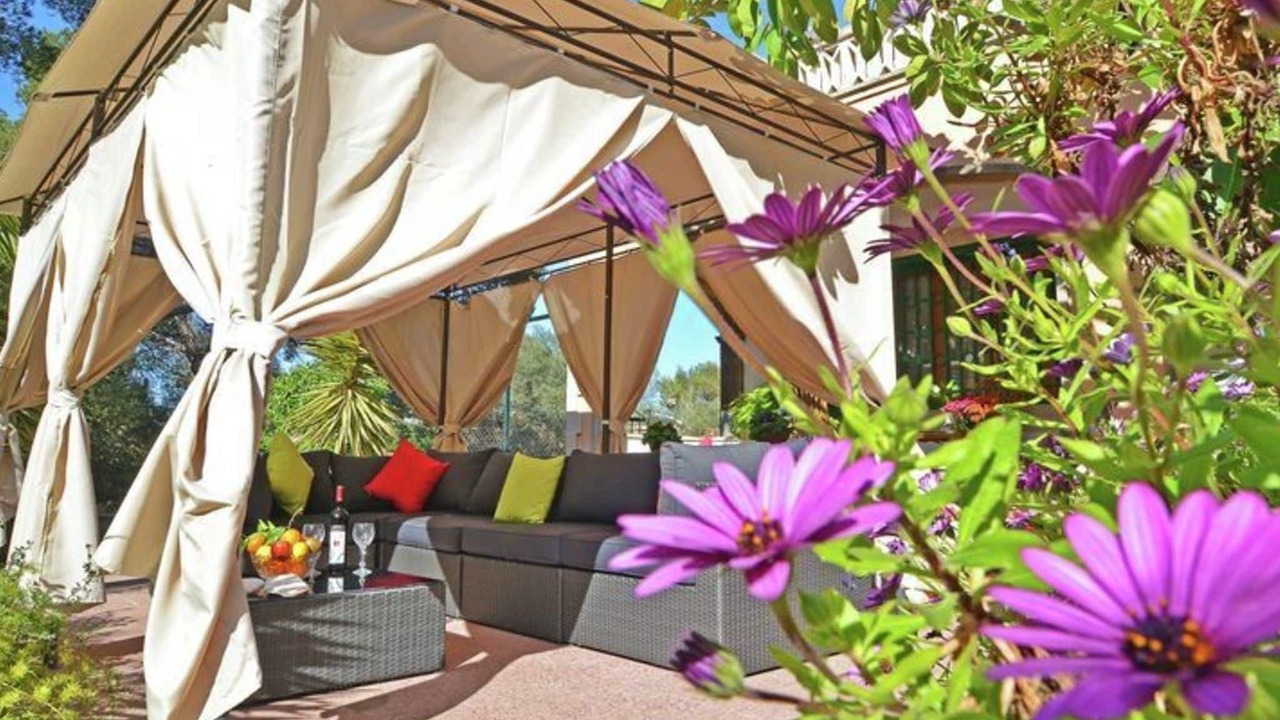 Photo of Outdoor in El Toro