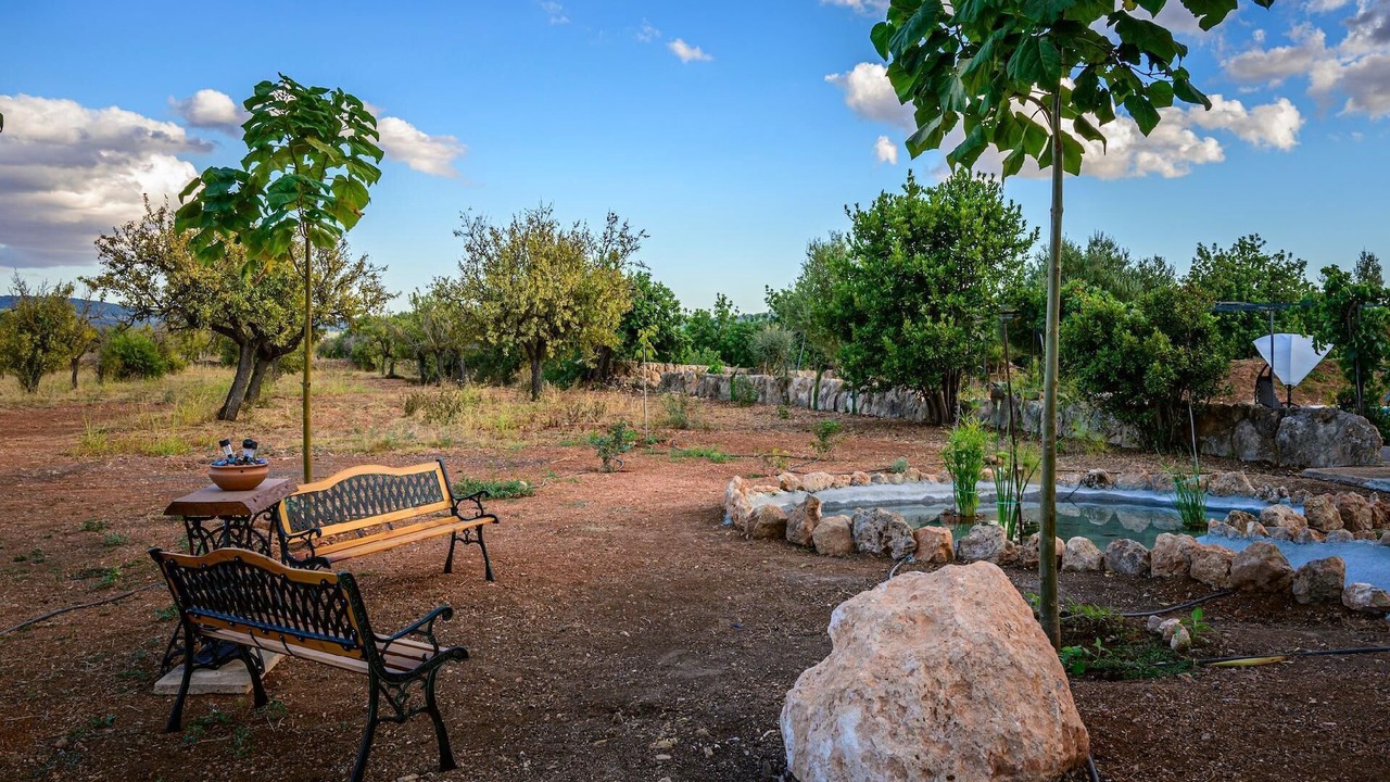 Photo of Outdoor in Santa Maria del Cami