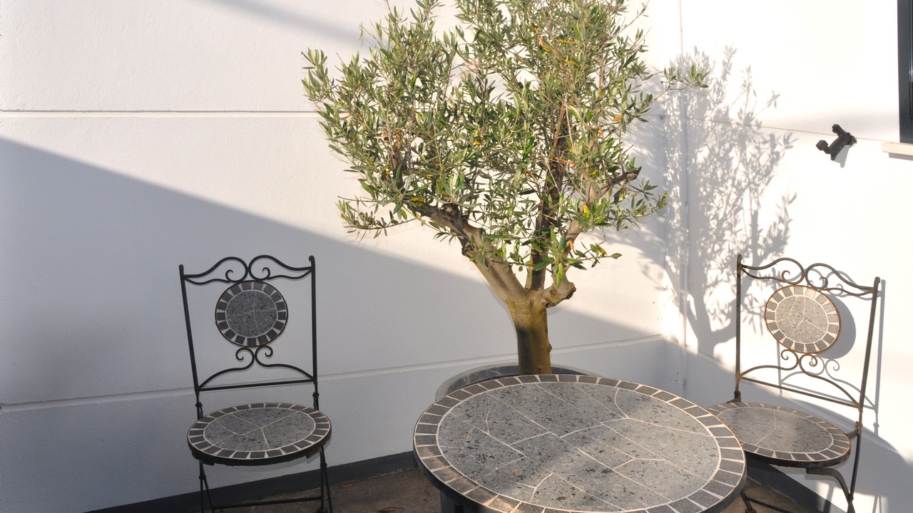 Photo of Outdoor in Cala Pi