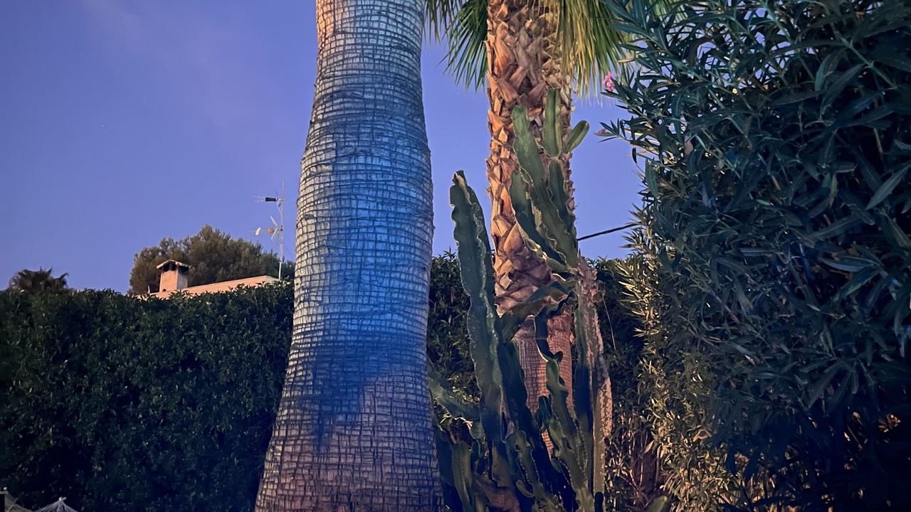 Photo of Outdoor in Cala Pi