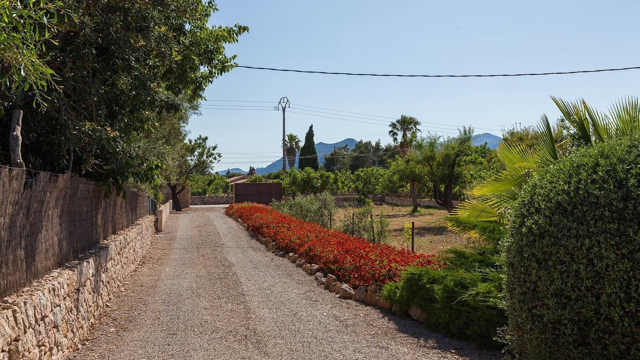 Photo of Outdoor in Pollensa