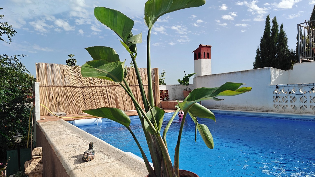 Photo of Outdoor in Lliria